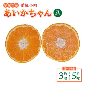 【ふるさと納税】 みかん 愛紅小町あいかちゃん 2Lサイズ【選べる内容量】 約3kg もしくは 約5kg 【2025年10月上旬頃~2026年1月下旬発送】 温州みかん 柑橘 宇城市産 熊本県産 九州産 国産 送料無料 吉田レモニー
