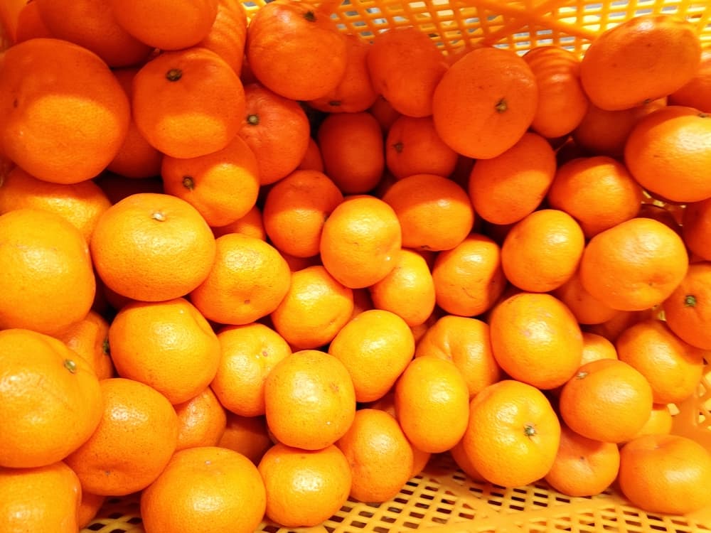 熊本県宇城市の画像2