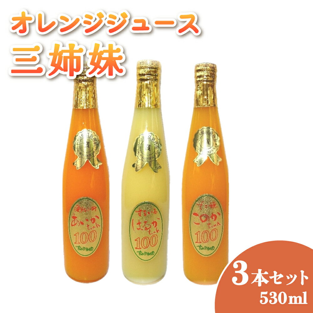 【ふるさと納税】 オレンジジュー