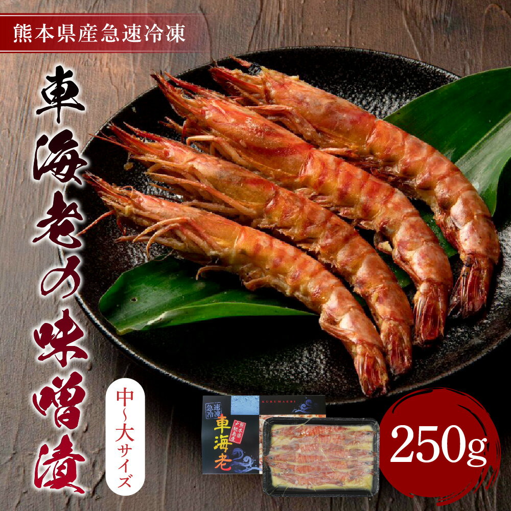 【ふるさと納税】 車海老 味噌漬 合計250g (中〜大サイズ) 海老 えび エビ 魚介 魚介類 味