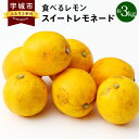 フルーツ・果物(レモン)人気ランク22位　口コミ数「1件」評価「5」「【ふるさと納税】食べるレモン スイートレモネード 約3kg 吉田レモニー レモン 柑橘 果物 くだもの フルーツ 宇城市産 熊本県産 九州産 国産 送料無料」