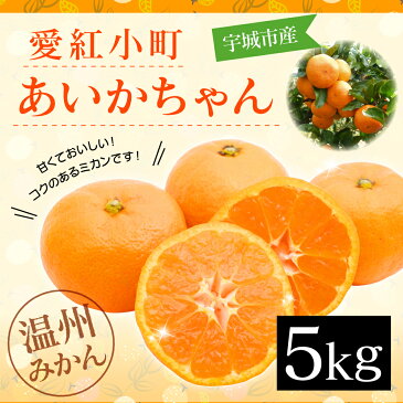 【ふるさと納税】 愛紅小町あいかちゃん 5kg 温州みかん フルーツ 果物 柑橘 熊本宇城産 送料無料