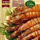 【ふるさと納税】熊本県産 急速冷凍 車海老 750g(27〜39尾) 生食可 瞬間冷凍 真空パック 活き締め 車エビ 車えび 国産 その1