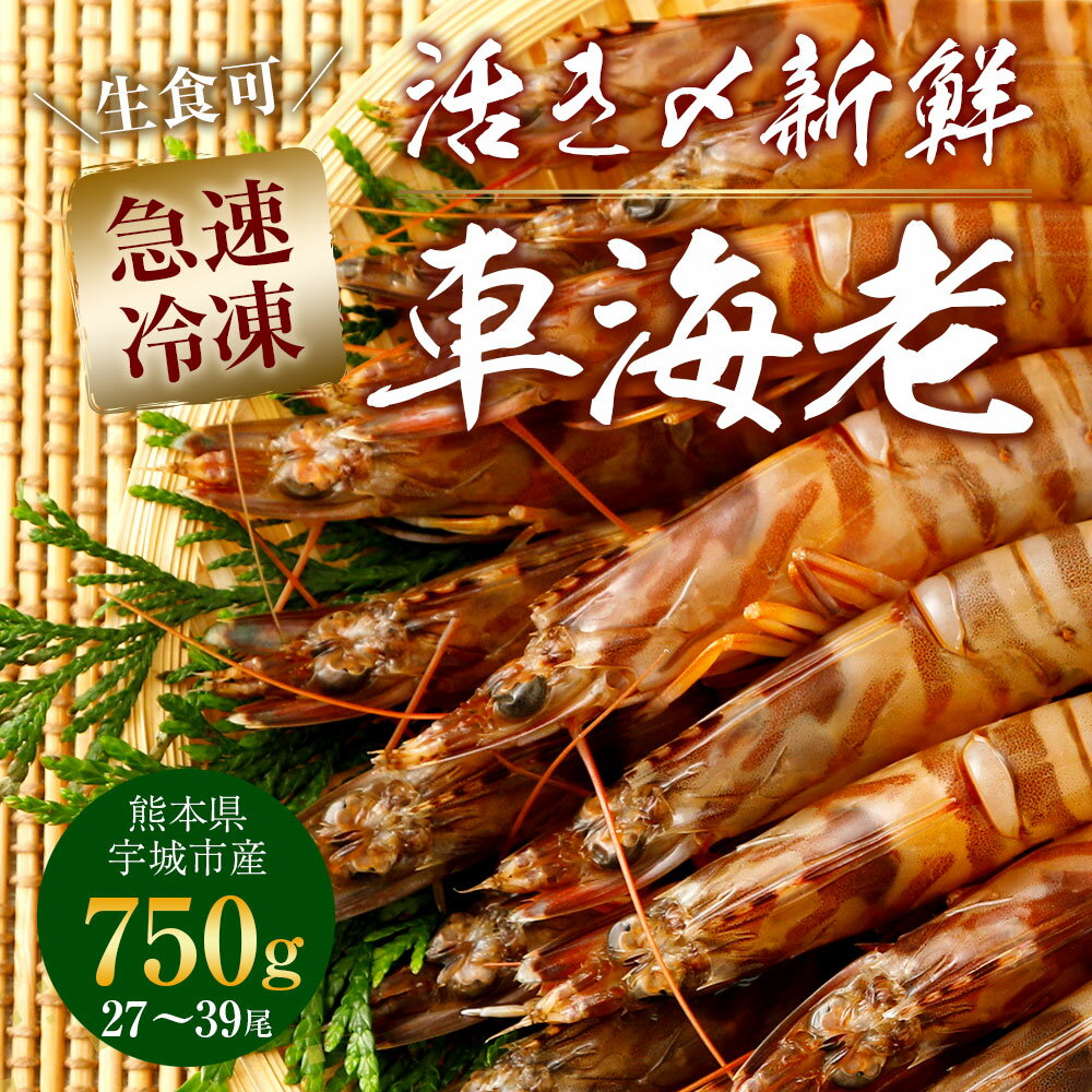 【ふるさと納税】熊本県産 急速冷凍 車海老 750g(27〜39尾) 生食可 瞬間冷凍 真空パック 活き締め 車エビ 車えび 国産