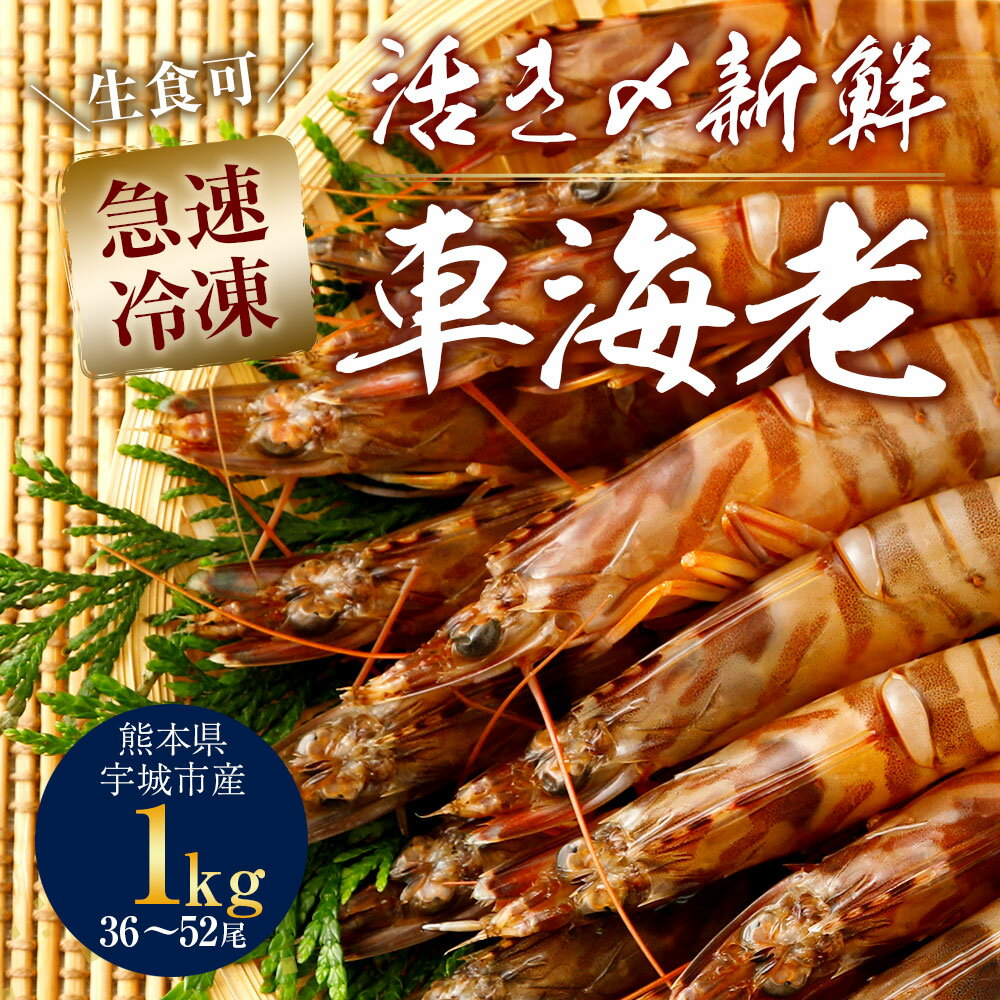 【ふるさと納税】熊本県産 急速冷凍 車海老 1kg(36〜52尾) 生食可 瞬間冷凍 真空パック 活き締め 1000g 車エビ 車えび 国産