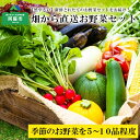 【ふるさと納税】熊本県阿蘇市 阿蘇の高原 旬 季節のお野菜セ