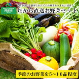 【ふるさと納税】阿蘇の高原 旬 季節のお野菜セット 減農薬 無農薬 Mサイズ 産地直送