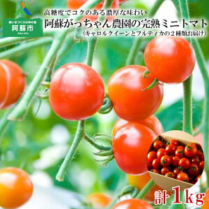 【ふるさと納税】阿蘇 産地直送 トマト フルティカ キャロルクイーン ミニトマト 中玉トマト 詰め合わせ セット お取り寄せ まとめ買い