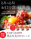 熊本県阿蘇市の画像2