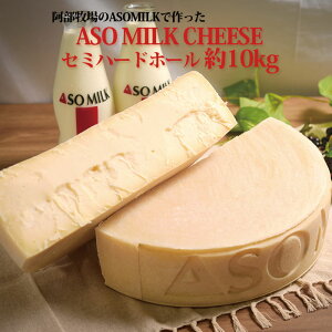 【ふるさと納税】熊本県阿蘇市 ホール チーズ セミハード 約10kg 6ヶ月以上熟成 濃厚 おいしい...