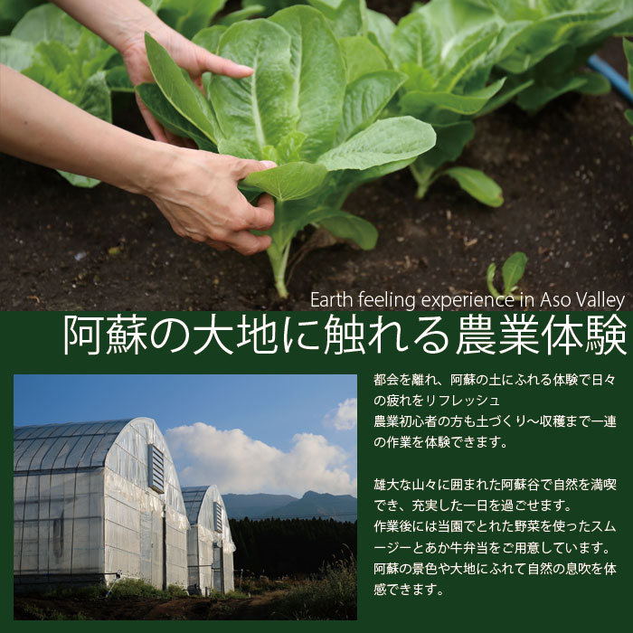 【ふるさと納税】阿蘇蔵農園 熊本県阿蘇市 阿蘇のカルデラで農業体験＆お散歩 送迎あり 野菜スムージー・お弁当あり 1口(1名分) 旅行 アクティビティ リフレッシュ ストレス解消 アウトドア f432148-aso-10000602 熊本県阿蘇市 サンプル画像2
