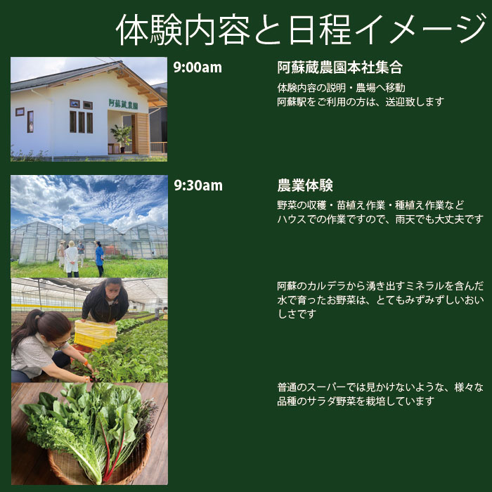 【ふるさと納税】阿蘇蔵農園 熊本県阿蘇市 阿蘇のカルデラで農業体験＆お散歩 送迎あり 野菜スムージー・お弁当あり 1口(1名分) 旅行 アクティビティ リフレッシュ ストレス解消 アウトドア f432148-aso-10000602 熊本県阿蘇市 サンプル画像3