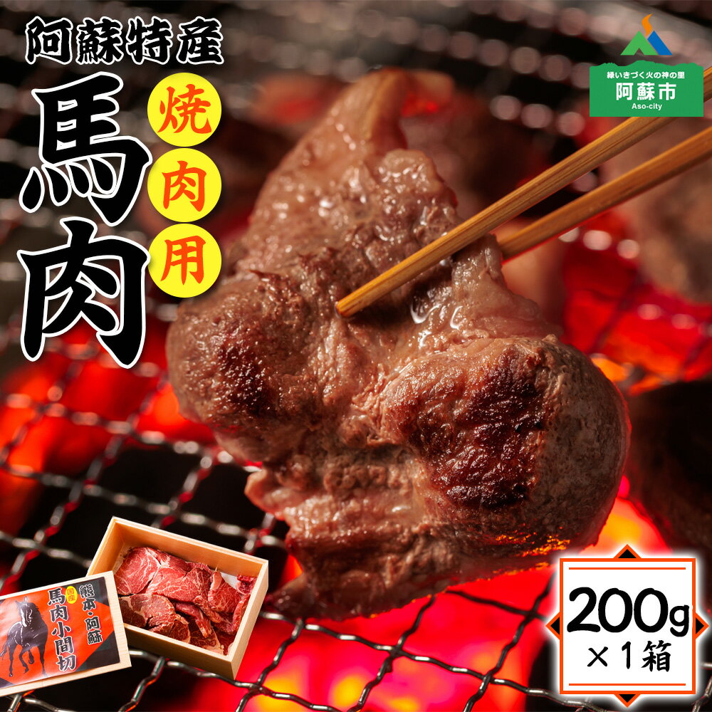 【ふるさと納税】馬刺し 馬肉 特産品 馬肉 冷凍 お取り寄せ 加熱調理用 ヘルシー 高タンパク おうちごはん バーベキュー 焼肉 カレー 惣菜 おつまみ アレンジメニュー ver.2 熊本県 阿蘇市