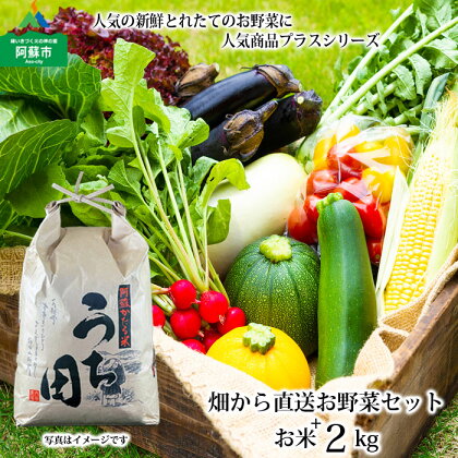 お野菜セット 阿蘇の高原 旬 季節 新鮮 野菜 5～10品 減農薬 産地直送 詰め合わせ おいしい 米 2kg セット 熊本県 阿蘇市