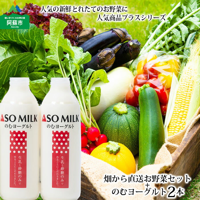 9位! 口コミ数「0件」評価「0」お野菜セット 阿蘇ミルク 阿部牧場 ASOMILK季節の野菜 牛乳のむヨーグルト800ml×2本 セット 高原 新鮮 旬 お野菜 5～10品･･･ 