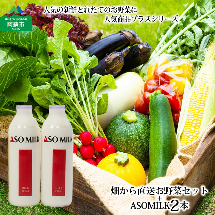 【ふるさと納税】お野菜セット　阿蘇ミルク 阿部牧場 ASOMILK 牛乳 季節の野菜 ASOMILK800ml×2本 セット 新鮮 旬 高原 お野菜5～10品 減農薬 産地直送 詰め合わせ 熊本県 阿蘇市