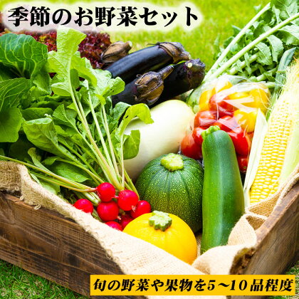 熊本県阿蘇市 阿蘇の高原 旬 季節のお野菜セット 減農薬 無農薬 Mサイズ 産地直送