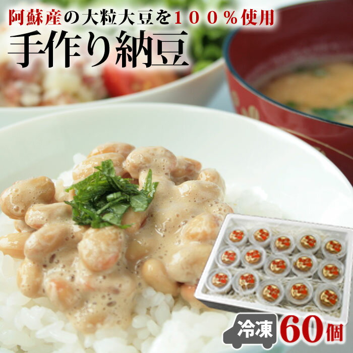 【ふるさと納税】阿蘇 納豆 大粒 たれ付 手作り おふくろの味 冷凍 60個 2人分 1ヶ月分