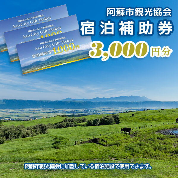 【ふるさと納税】宿泊補助券 阿蘇市 ふるさと納税 阿蘇 熊本県阿蘇市 熊本県 温泉 旅行 観光 宿泊 阿蘇市観光協会加盟施設で使用できる宿泊補助券旅行 3000円分 1000円×3枚 ホテル 旅館 宿 ペンション 民宿 内牧温泉 リフレッシュ ストレス解消 ふるさと納税 熊本県 阿蘇市