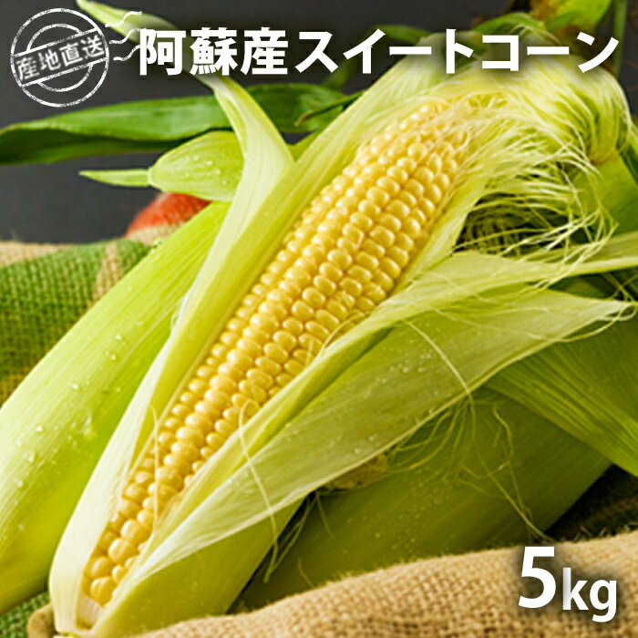 【ふるさと納税】熊本県阿蘇市 季節限定 スイートコーン 約5kg （10～14本） トウモロコシ 採れたて野菜 恵味ゴールド 恵味スター ドルチェドリームのサムネイル