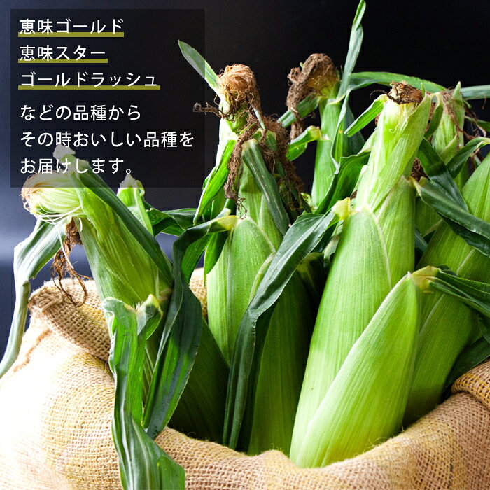 【ふるさと納税】コーン スイートコーン とうもろこし トウモロコシ 季節限定 約5kg （10〜14本） 採れたて野菜 恵味ゴールド 恵味スター ドルチェドリーム 期間限定 旬 甘い 美味しい 鮮度 バーベキュー BBQ 夏休み おやつ 熊本県 阿蘇市