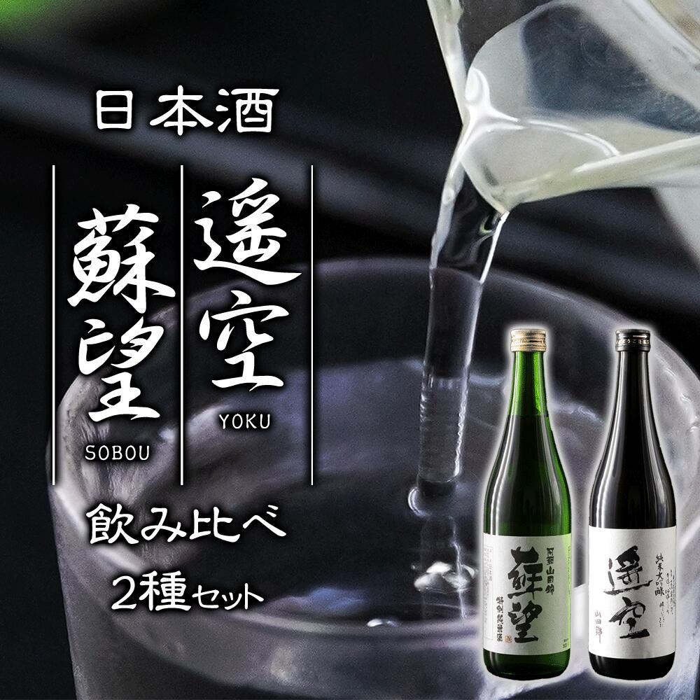 【ふるさと納税】酒 日本酒 遥空 蘇望 純米吟醸 720ml×2 1440ml 飲み比べ アルコール 米 ギフト 贈り物 晩酌 美味しい スッキリ 辛口 熊本県 阿蘇市 1