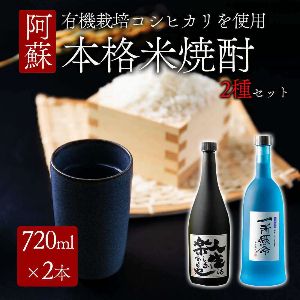 【ふるさと納税】酒 説法焼酎 一所懸命 焼酎 720ml 2 1440ml 飲み比べ アルコール 米 ギフト 贈り物 晩酌 美味しい スッキリ 辛口 熊本県 阿蘇市