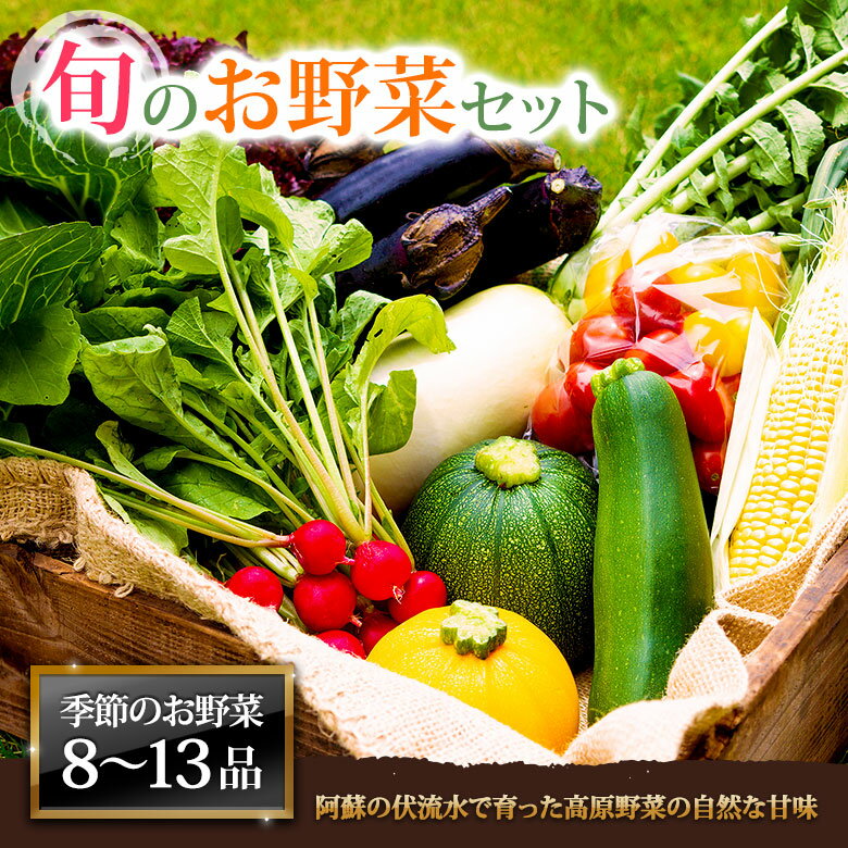 15位! 口コミ数「0件」評価「0」お野菜セット 野菜 お野菜 阿蘇の高原 旬 季節の野菜セット 減農薬 新鮮 安心安全 大満足 XLサイズ 産地直送 詰め合わせ やさい みず･･･ 