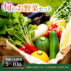 【ふるさと納税】お野菜セット 野菜 お野菜 阿蘇の高原 旬 季節の野菜セット 減農薬 新鮮 安心安全 大満足 Mサイズ 産地直送 詰め合わせ やさい みずみずしい 美味しい 自然 自然派 セット たっぷり 熊本県 阿蘇市 5000円セット