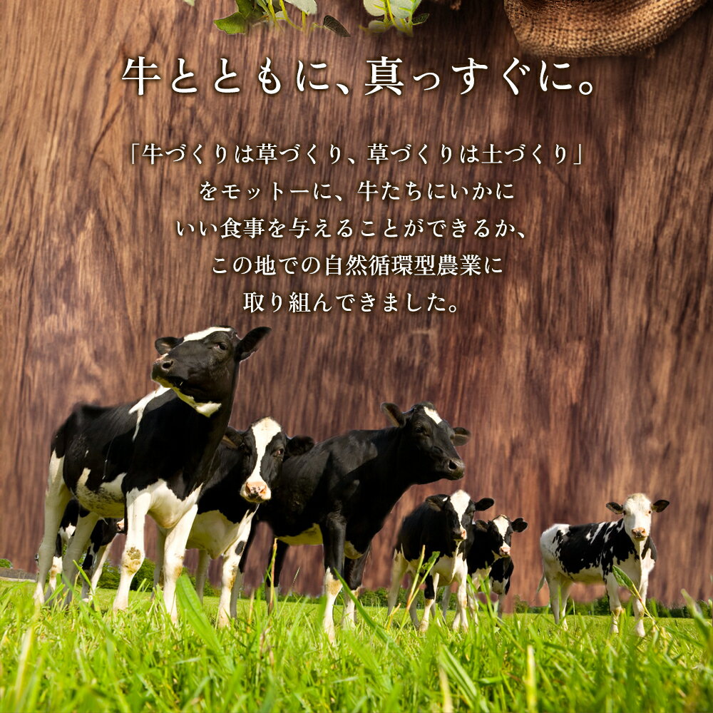 熊本県阿蘇市の画像3