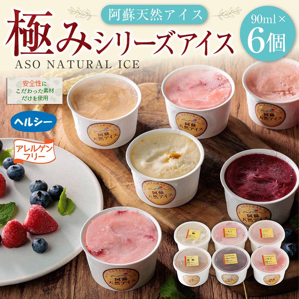 【ふるさと納税】ジェラート 阿蘇天然アイス アレルゲンフリー 極み シリーズ 6個 セット アイス フルーツ お取り寄せ ギフト 贈答用 スイーツ 安心 お菓子 冷凍 熊本県 阿蘇市 f432148-aso-10000346 熊本県阿蘇市 サンプル画像2
