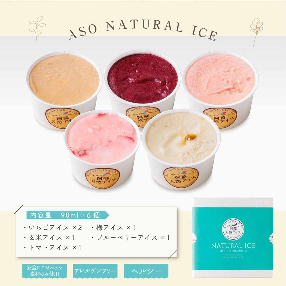 【ふるさと納税】ジェラート 阿蘇天然アイス アレルゲンフリー 極み シリーズ 6個 セット アイス フルーツ お取り寄せ ギフト 贈答用 スイーツ 安心 お菓子 冷凍 熊本県 阿蘇市 f432148-aso-10000346 熊本県阿蘇市 サンプル画像3