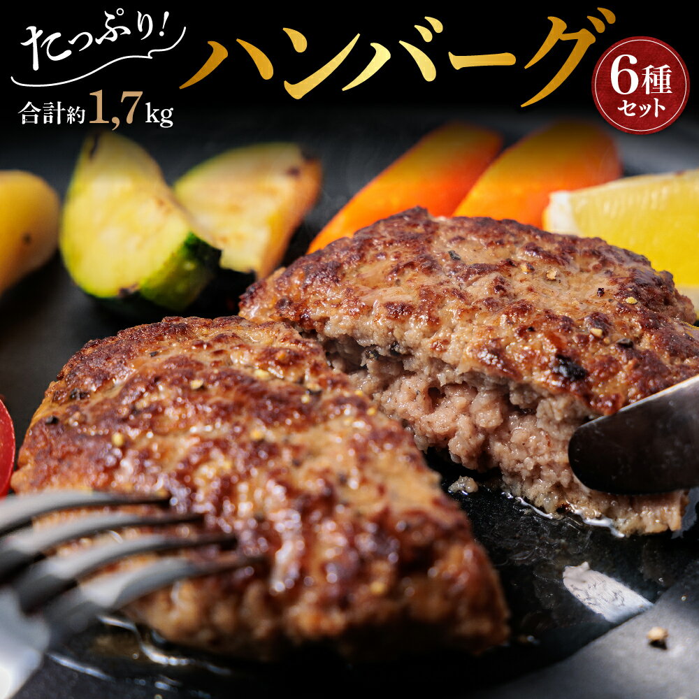 17位! 口コミ数「0件」評価「0」熊本県阿蘇市 あか牛ハンバーグ 冷凍 食べ比べ ポークハンバーグ 人気ハンバーグ 6種 14個 まとめ買い お取り寄せ 詰め合わせ 国産 豪･･･ 