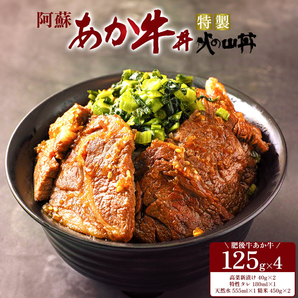 あか牛 ステーキ 米 水 セット 牛肉 高菜 冷凍 赤牛 あかうし 熊本 くまもと 和牛 褐色和牛 国産 赤身 送料無料 贅沢 ごちそう 贈り物 ギフト 熊本県 阿蘇市