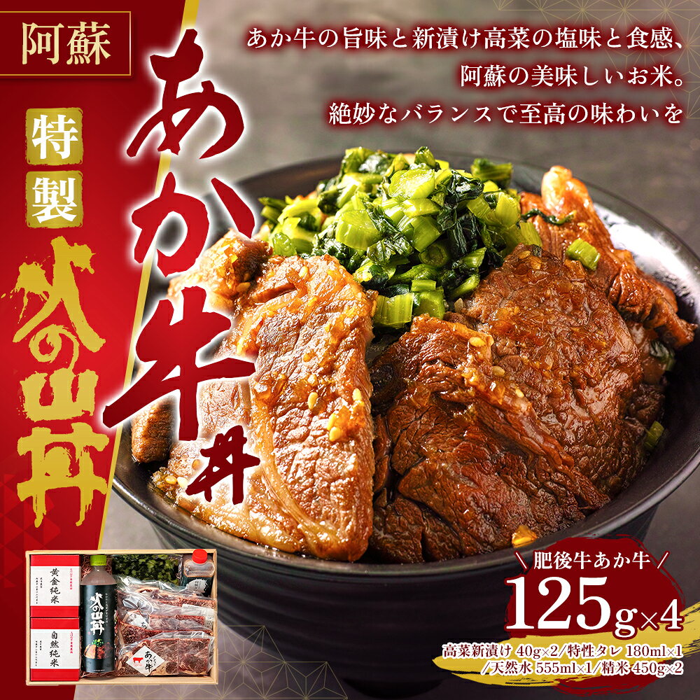 【ふるさと納税】あか牛 ステーキ 米 水 セット 牛肉 高菜 冷凍 赤牛 あかうし 熊...