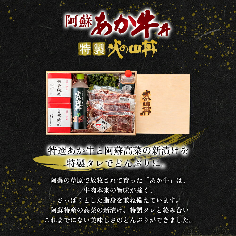 【ふるさと納税】あか牛 ステーキ 米 水 セット 牛肉 高菜 冷凍 赤牛 あかうし 熊...
