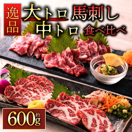 馬刺し 赤身 ふるさと納税 霜降り馬刺しの食べ比べ約600g 大トロ・中トロ各約300g 醤油付き 熊本 馬肉 上質 新鮮 セット 詰め合わせ お取り寄せ 冷凍 馬肉 お歳暮 お土産 ギフト 馬刺し 赤身 ふるさと納税 贈答用 おつまみ 桜屋 熊本県 阿蘇市