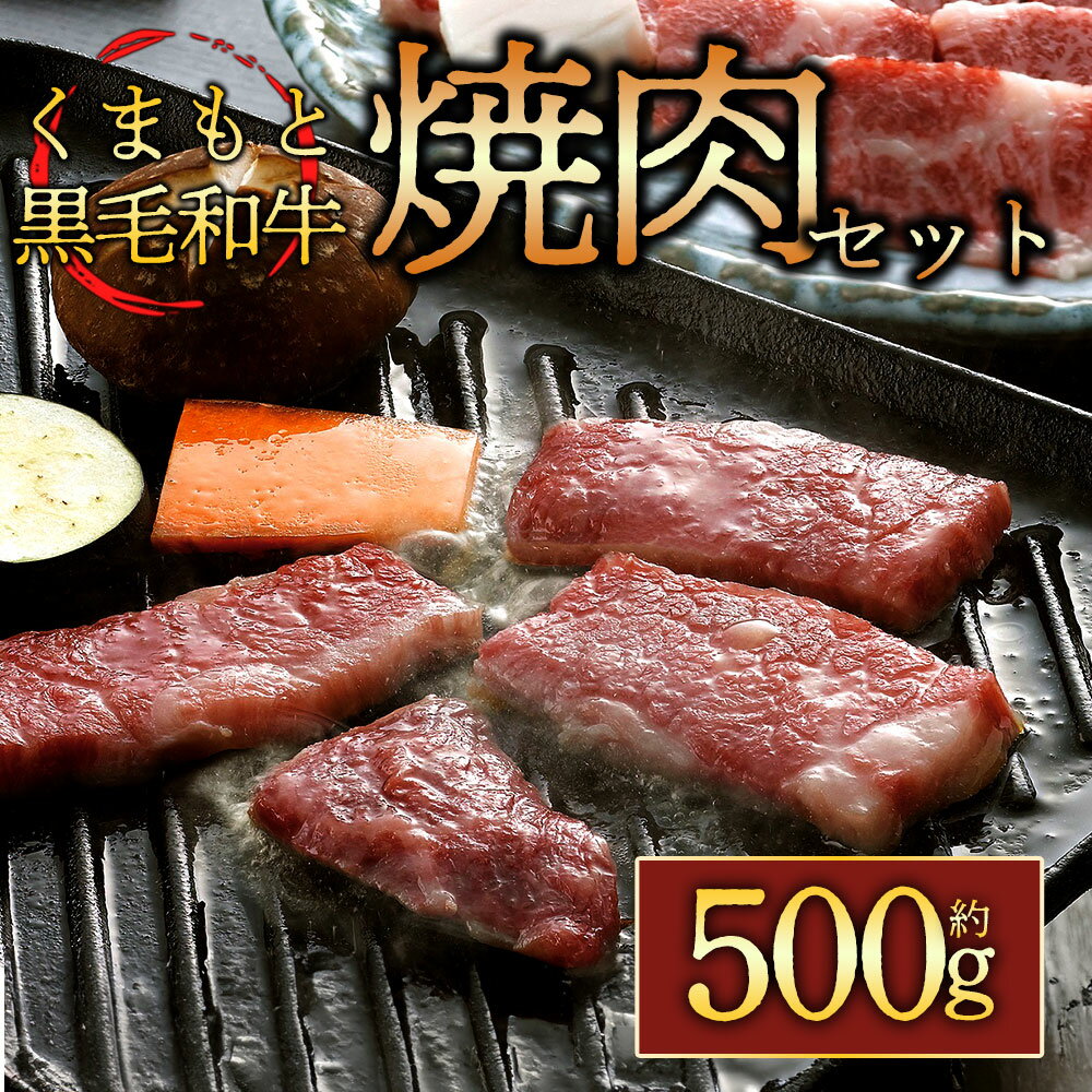 20位! 口コミ数「0件」評価「0」くまもと黒毛和牛焼肉用500g お取り寄せ 冷凍 お土産 ギフト 贈答用 おつまみ 阿蘇牧場 熊本県 阿蘇市