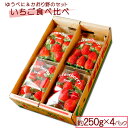 【ふるさと納税】熊本県阿蘇市 いちご食べ比べ4パックセット 約250g×4パック ゆうべに かおり野 2品種以上をセット 届け お取り寄せ ギフト