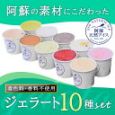 【ふるさと納税】阿蘇天然アイス ジェラート チョコレート バニラ フルーツ アイス 阿蘇天然アイス おやつ お子様 こだわり 素材 10種 セット 冷凍 詰め合...