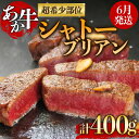 【ふるさと納税】あか牛 シャトーブリアン 6月発送 ステーキ バーベキュー 200g×2枚 400g 高級 希少 牛肉 冷凍 赤牛 あかうし 熊本 くまもと 贈り物 ギフト 褐色和牛 和牛 国産 赤身 送料無料 贅沢 ごちそう 熊本県 阿蘇市