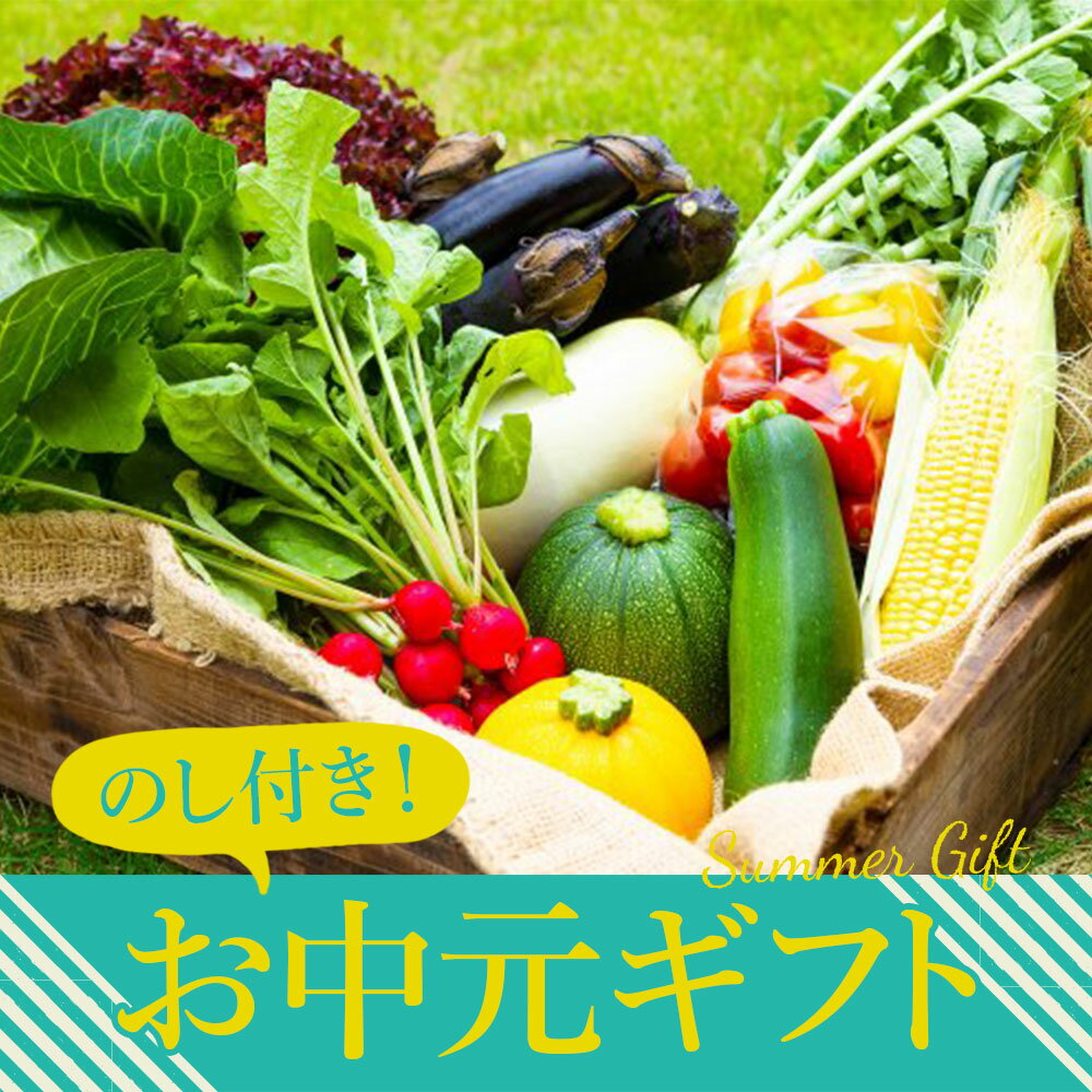 熊本県阿蘇市 季節のお野菜セット 夏野菜 詰め合わせ 贈り物 お中元 ギフト のし付き おまかせセット