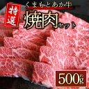 【ふるさと納税】【GI認証】くまもとあか牛 特選焼肉用 500g 牛肉 冷凍 熊本 くまもと 和牛 国産 赤身 送料無料 桜屋 贈答用 贈り物 ギフト ふるさと...