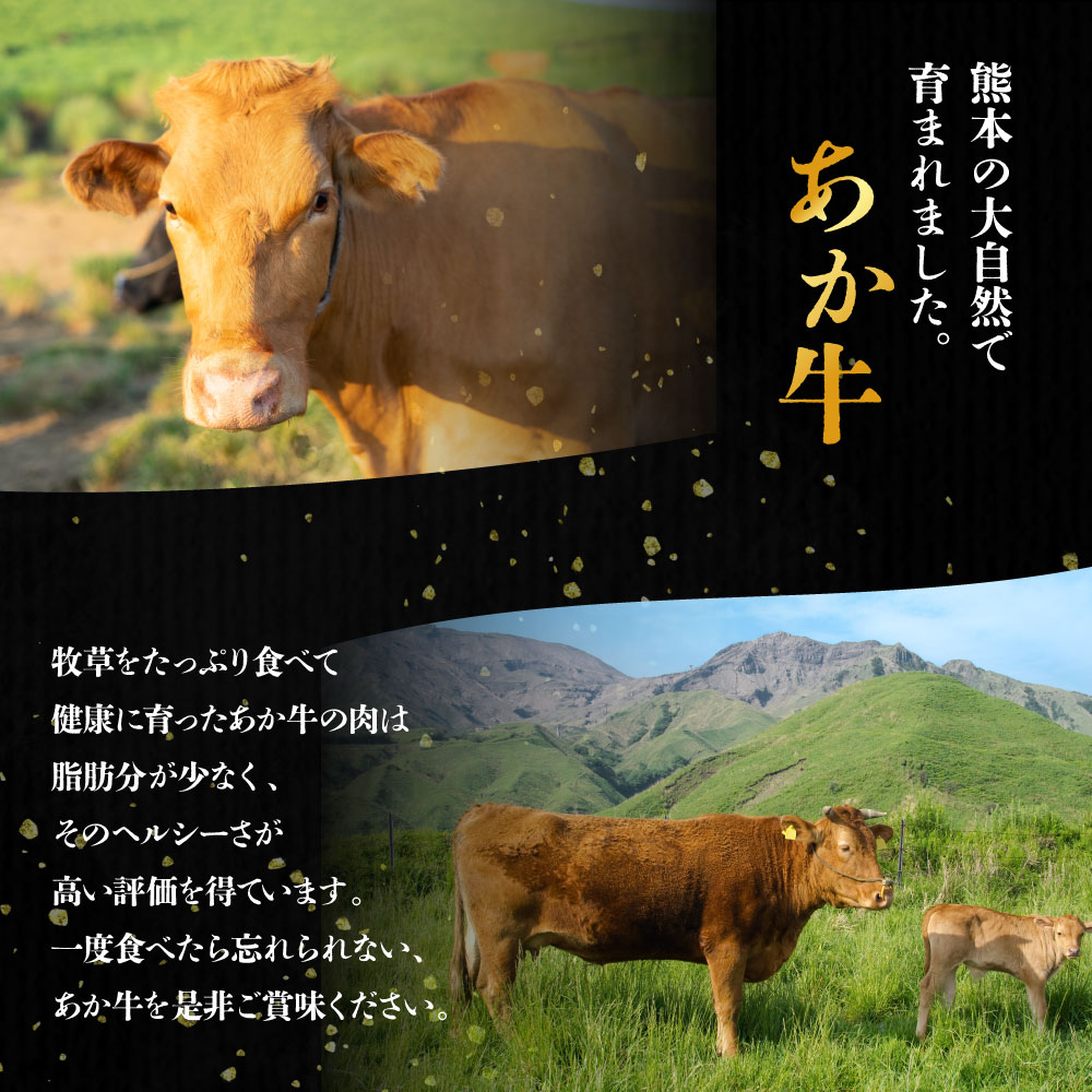 熊本県阿蘇市の画像2