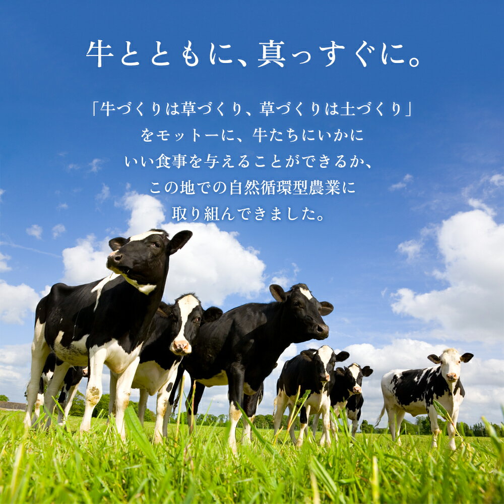 熊本県阿蘇市の画像3