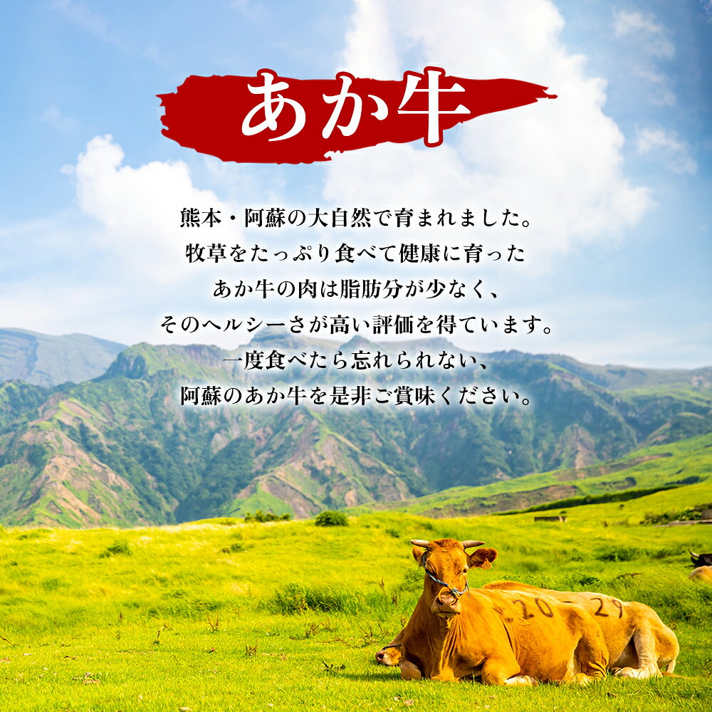 【ふるさと納税】いまきん食堂の「あか牛和風ハンバーグ」 あか牛 ハンバーグ 和風ハンバーグ いまきん食堂 ふるさと納税 ハンバーグセット 5個 10個 レトルト 肉 牛 簡単調理 特製 湯煎 温めるだけ ふるさと納税 おかず ギフト 熊本県 阿蘇市 f432148-aso-10001003 熊本県阿蘇市 サンプル画像3