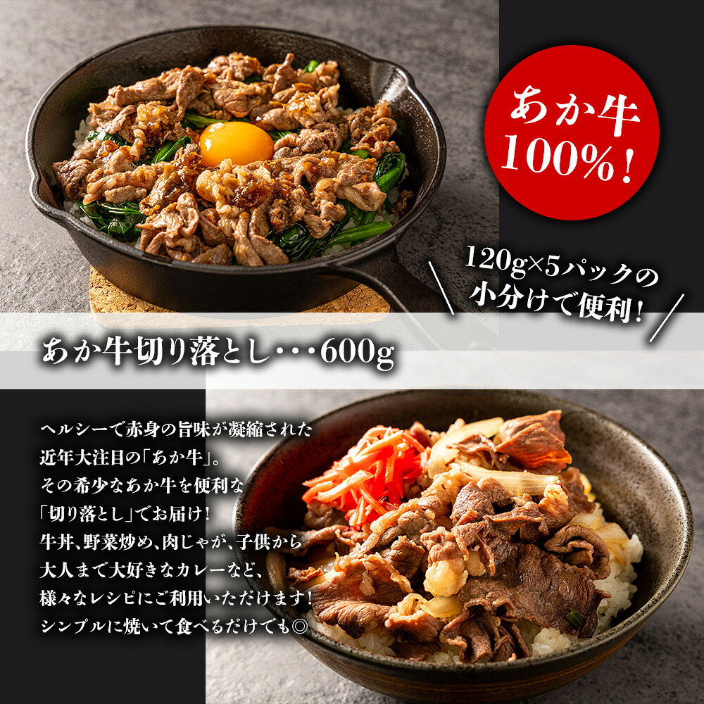 【ふるさと納税】熊本特産大満喫！ 馬刺し＆あか牛切り落としセット（馬刺し400g&切り落とし600g） ショッピングふじた 矢野畜産 熊本県 阿蘇市 f432148-aso-10001069 熊本県阿蘇市 サンプル画像3