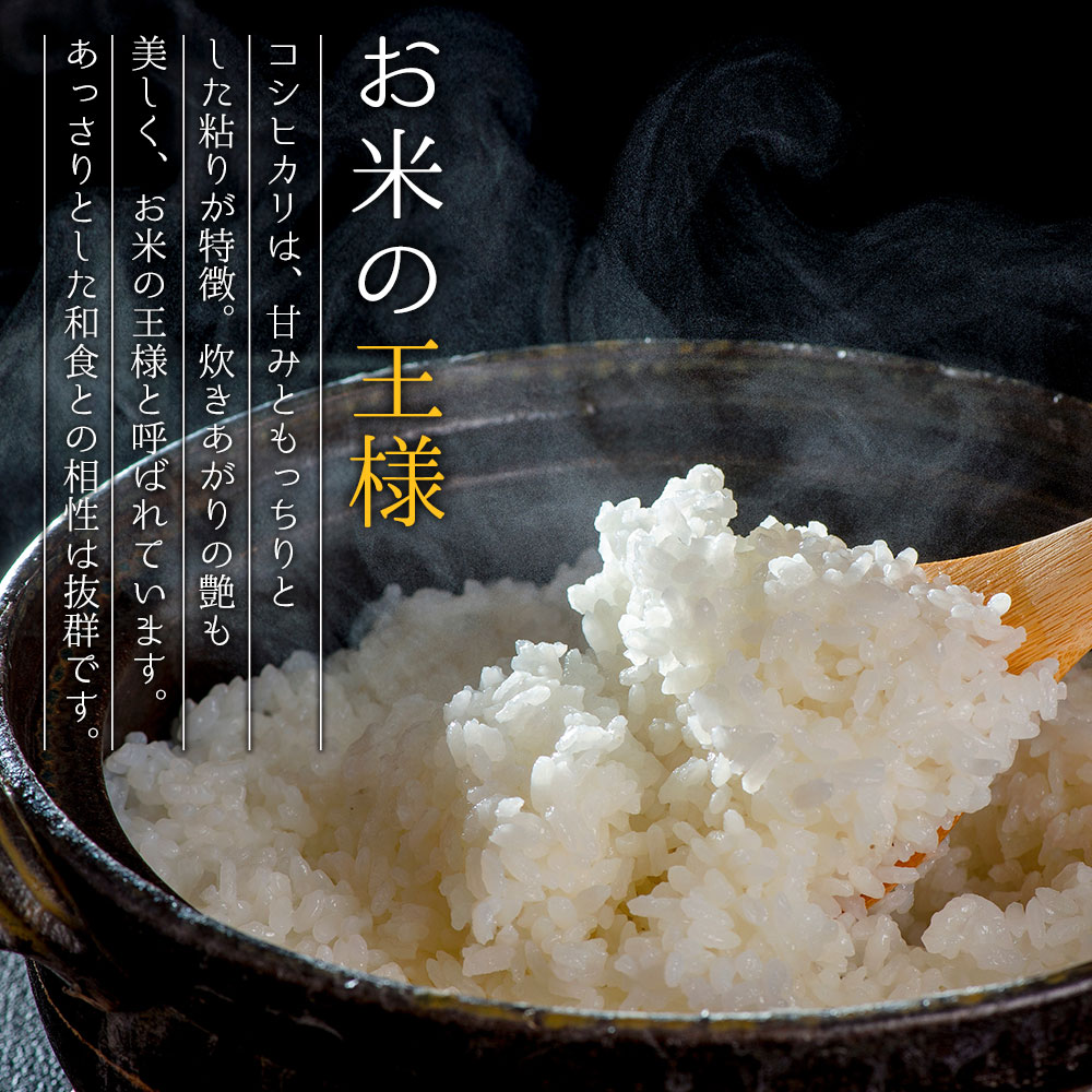【ふるさと納税】阿蘇の自然が育む、お米の王様「コシヒカリ」！　【ふるさと納税】お米 米 コシヒカリ 令和6年 ふるさと納税 令和6年度 選べる 5kg 10kg 15kg 20kg 白米 こめ おこめ 阿蘇米 米 お米 美味しい 寒暖差 湧き水 お取り寄せ 食卓 豪華 贅沢 自然 湧水 熊本県 阿蘇市