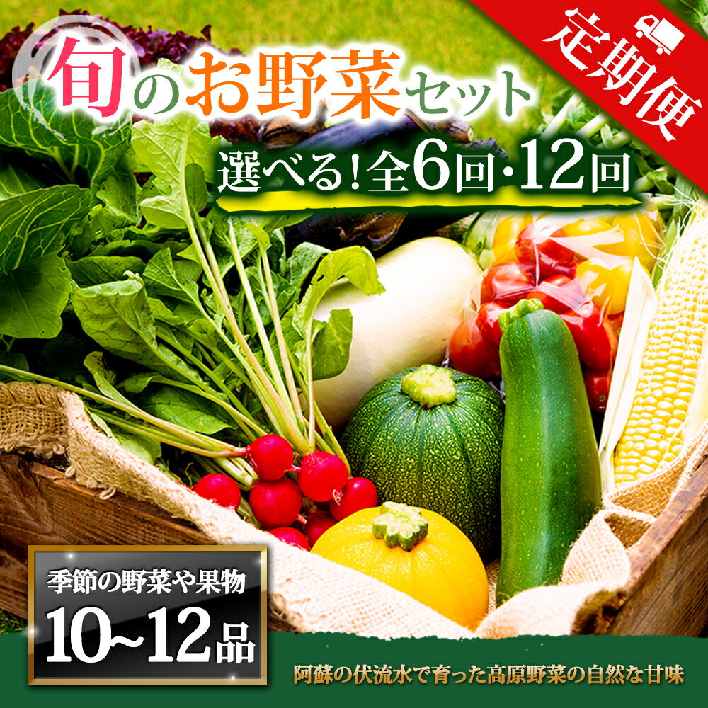 [定期便]畑から直送 季節のお野菜セット XLサイズ 6回 12回 定期便 野菜 10〜12品 定期便 ふるさと納税 全6回 全12回 詰め合わせ セット 新鮮 減農薬 高原 旬 産地直送 野菜 果物 フルーツ 採れたて 甘い 美味しい 人気 安心 安全 熊本県 阿蘇市