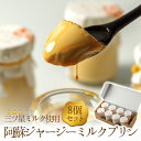 【ふるさと納税】 ジャージーミルクプリン プリン ミルクプリン 8個 セット 人気老舗店 プリン ミルクプリン セット 冷蔵 スイーツ お菓子 濃厚 美味しい おやつ ギフト おすすめ 人気 手土産 お土産 お取り寄せ 贈り物 お年賀 お歳暮 熊本県 阿蘇市